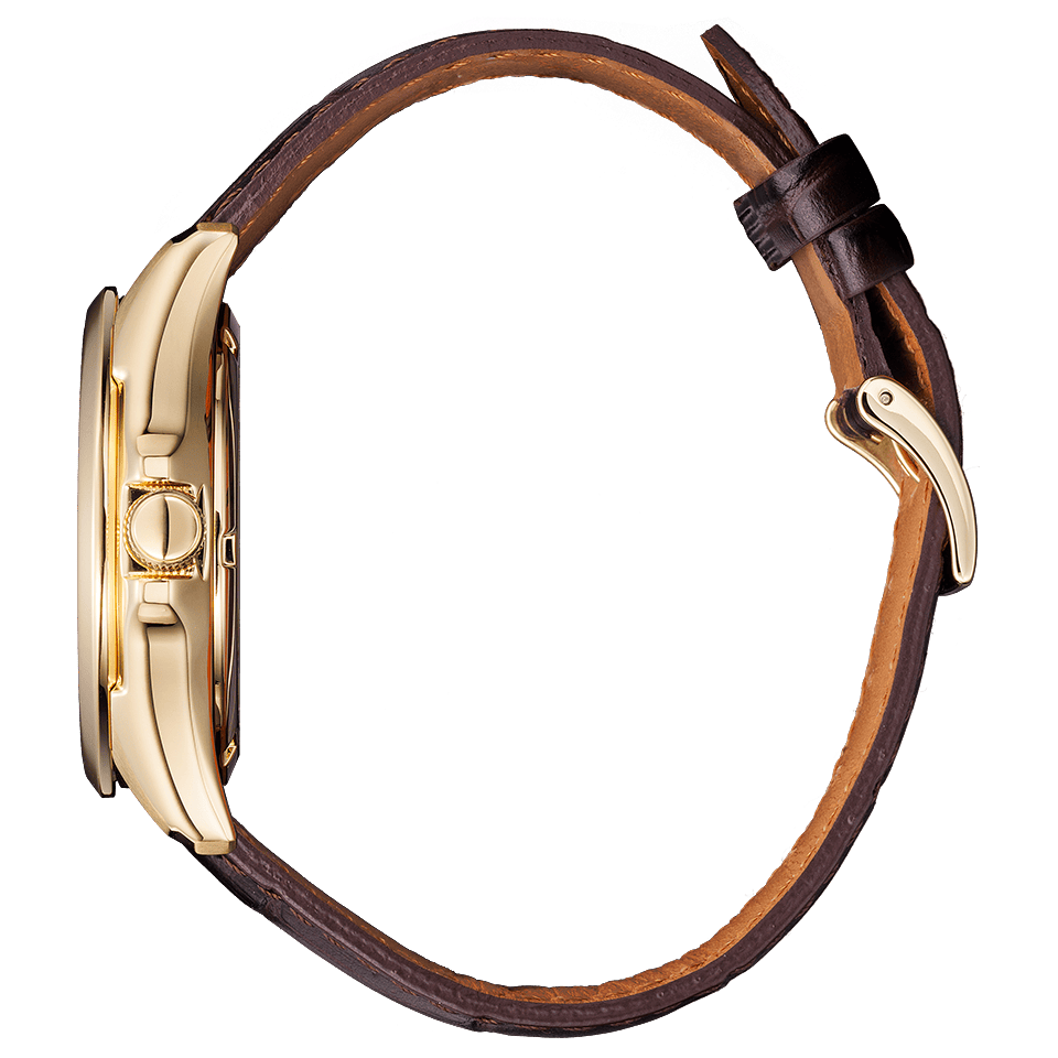Đồng Hồ Nam Citizen Automatic Collection NP1013-02P
