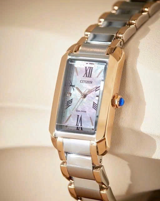 Citizen Eco-Drive Women EW5624-54Y