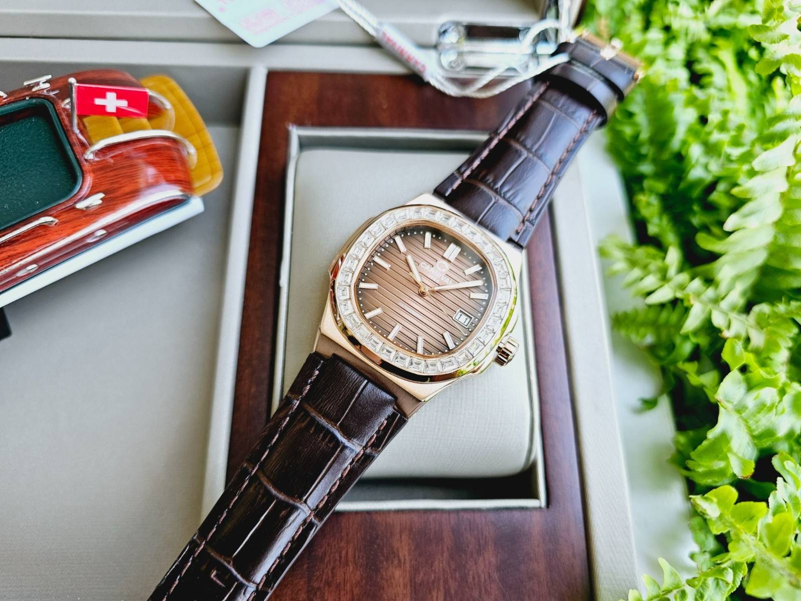 Đồng hồ Carnival Nam Automatic form Patek Philippe