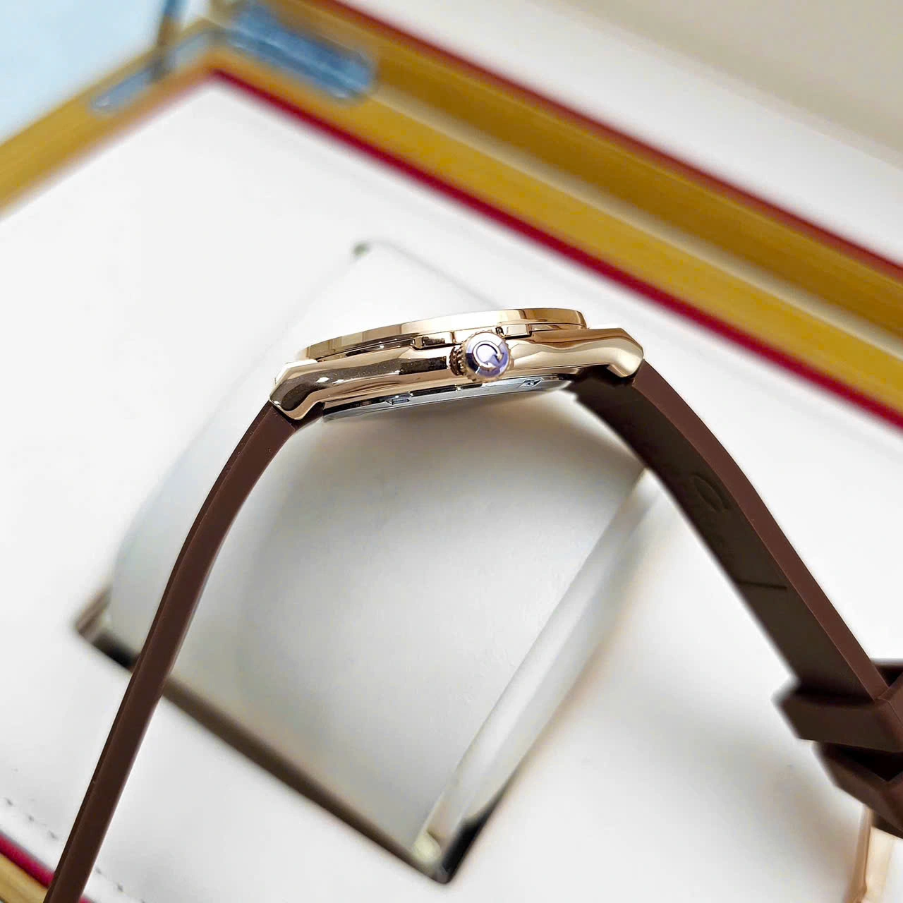 CARNIVAL Nữ Form Hublot