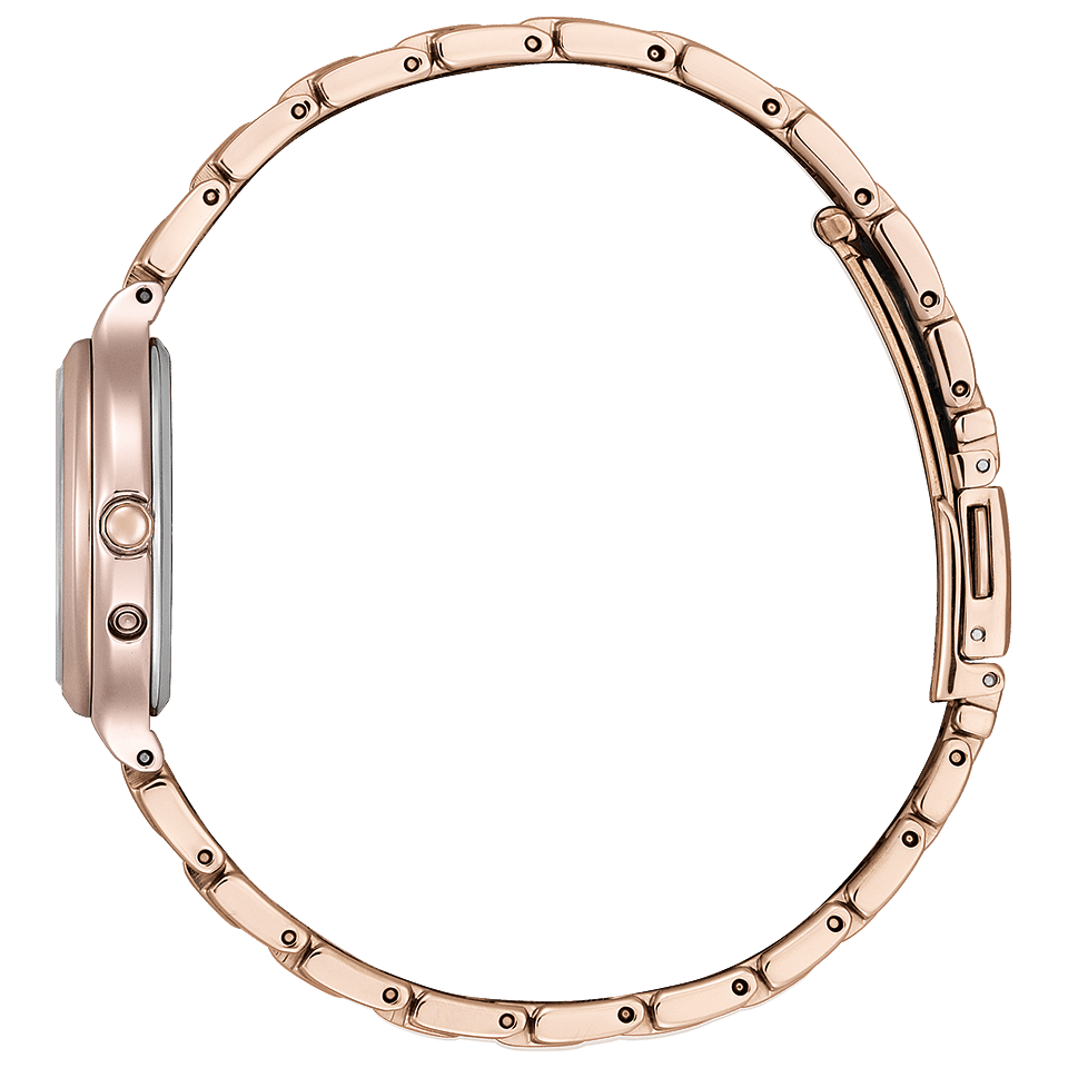 Citizen EXCEED ES9365-54W