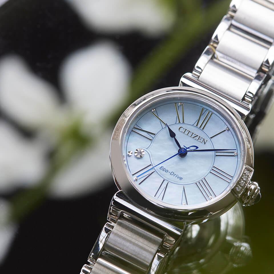 Citizen EXCEED EM1060-87N